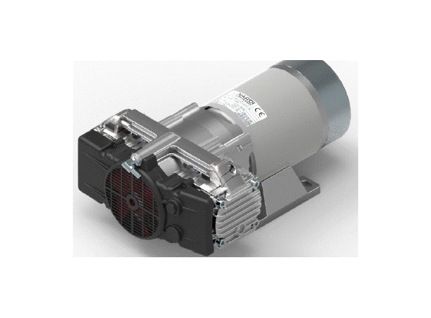 ESPRIT 500W 24 VOLT - pump+motor only 